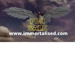 Angel in heaven demonstrating the Domain Name Immortalised.com is for sale